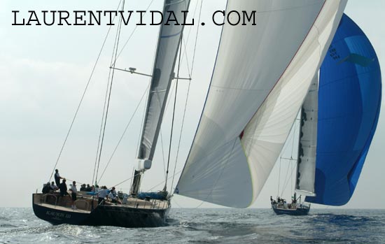 2004_1005 KAURIS3 , MAGIC CARPET