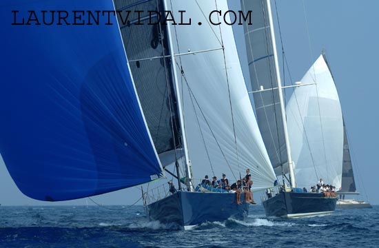 2004_1005 MAGIC CARPET , KAURIS3