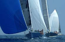 2004_1005 MAGIC CARPET , KAURIS3