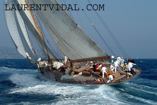 2004_1008_110244 ELEONORA