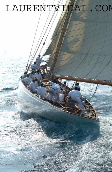 2004_1008_112600 MOON BEAM OF FIFE