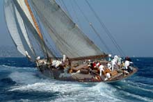 2004_1008_110244 ELEONORA