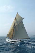 2004_1008_112650 MOON BEAM OF FIFE