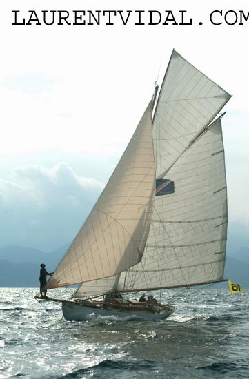 2004_0929_140150 VIOLA