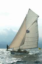 2004_0929_140150 VIOLA