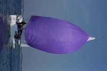 2007_0406_161426AA