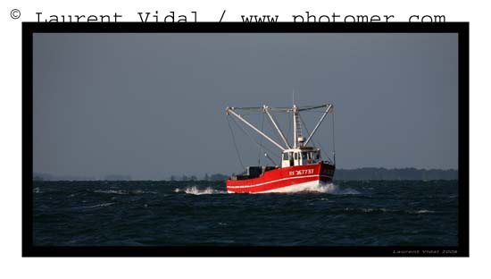 2006_0908_093332AAtirexpo