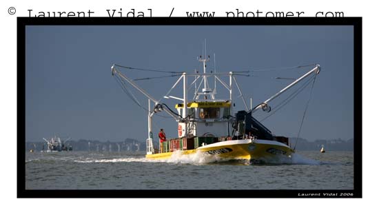 2006_1209_114718AAtirexpo