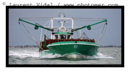 2006_1209_125232AAtirexpo