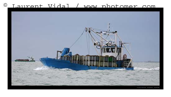 2006_1209_125644AAtirexpo