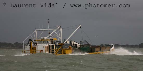 2006_1211_110618AB copie