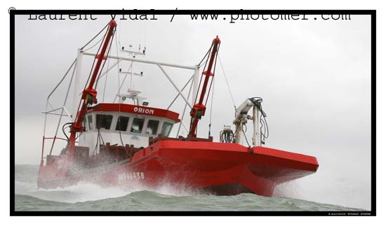 2006_1211_124124AAtirexpo