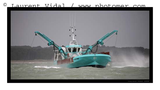 2006_1211_124806AAtirexpo