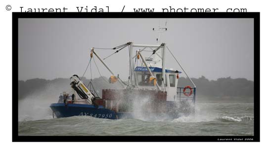 2006_1211_131250ABtirexpo