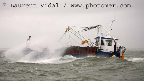 2006_1211_131336AATIR90