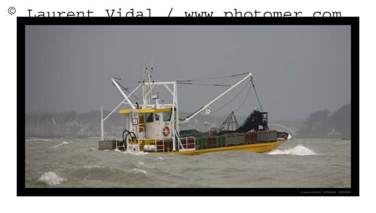 2006_1211_131724AAtirexpo