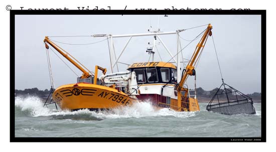 2006_1211_133018ACtirexpo