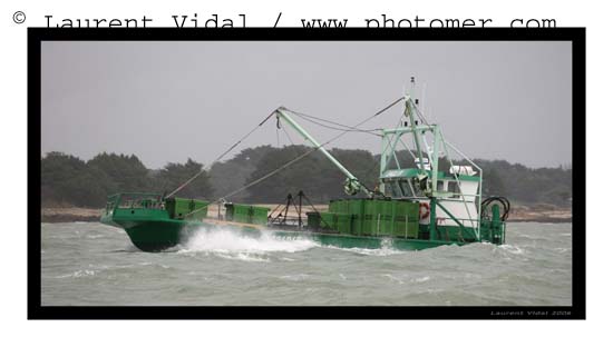 2006_1211_133942AAtirexpo