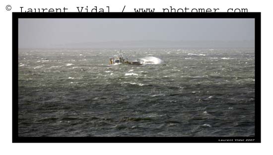 2007_0212_113742AAtirexpo