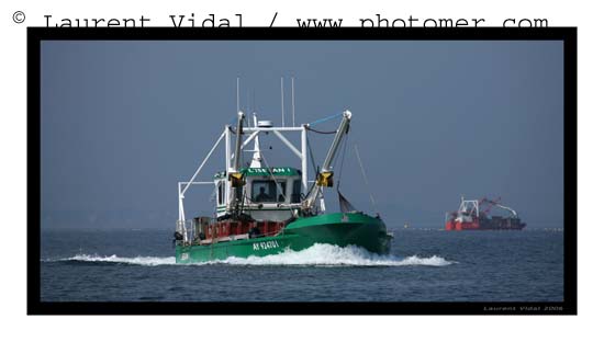 2007_0430_113936AAtirexpo