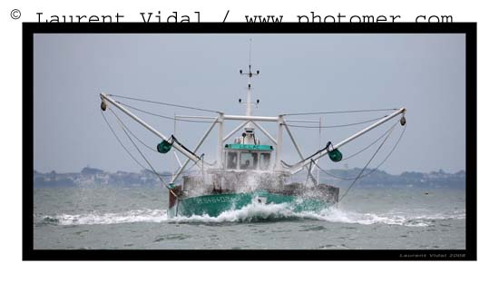 2008_0317_170555AAtirexpo