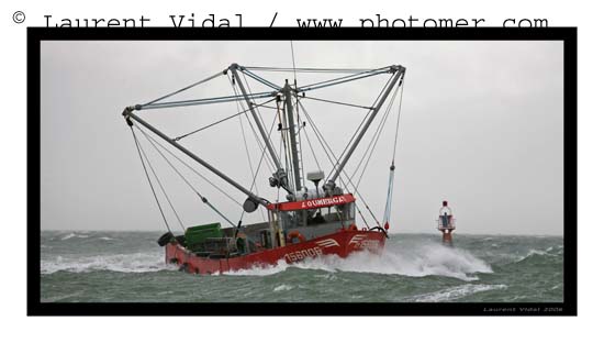 2008_0328_163616AA tirexpo2