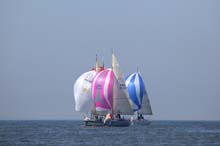 2010_0523_115756AA copie