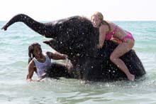 2010_0313_095922AA copie