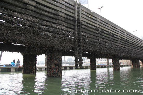 %_tempFileName20150321121356_3%