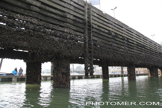 %_tempFileName20150321121356_3%