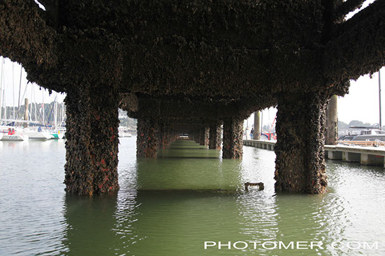 %_tempFileName20150321121717_5%