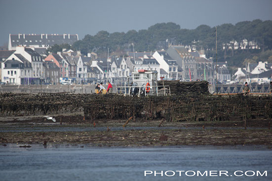 %_tempFileName20150321124619_3%