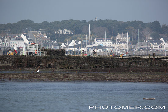 %_tempFileName20150321124627_4%