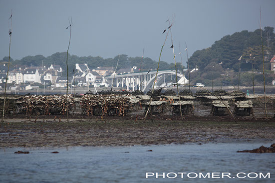 %_tempFileName20150321124638_5%