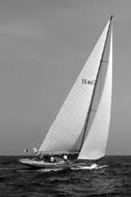 2004_1009_115050AA copie