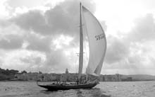 2004_1009_125644AA copie