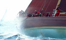 2004_1006_115402AA copie