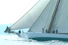 2004_1007_111202AA copie