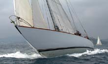 2004_1006_115500 TALOFA