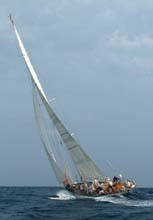 2004_1006_125308 TALOFA