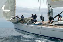 2005_1005_110056AA ALEXIA