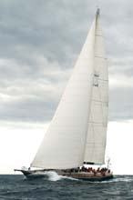 2005_1007_121834AB BLACK SHARK  SUI 1746