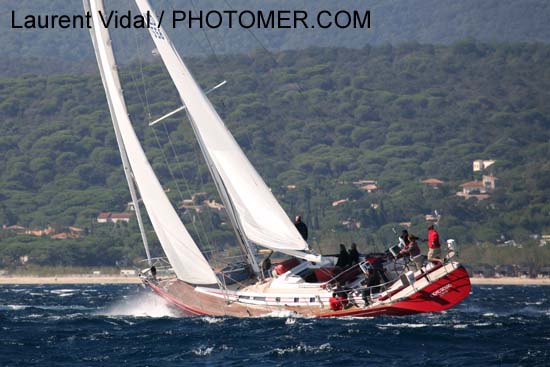 2006_1007_122926AA CIGNO ROSSO NED 7558