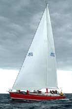 2005_1007_121422AA CIGNO ROSSO NED 7558