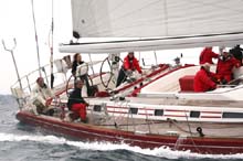 2006_1003_125854AA CIGNO ROSSO NED 7558