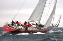 2006_1003_125904AA CIGNO ROSSO NED 7558