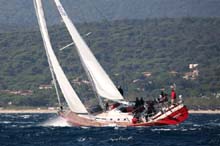 2006_1007_122926AA CIGNO ROSSO NED 7558