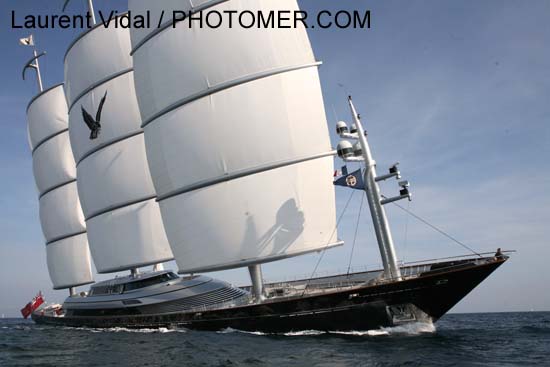 2006_1002_154856AA MALTESE FALCON