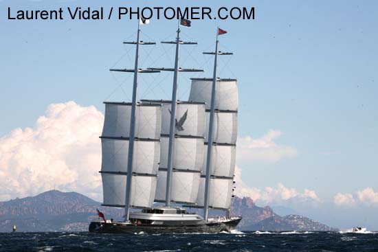 2006_1004_122056AA MALTESE FALCON