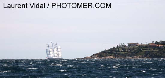 2006_1004_123504AA MALTESE FALCON